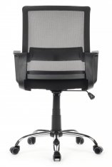  Riva Chair Mint RCH 1029MB / /