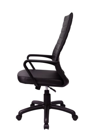  Riva Chair RCH 1165-4 PL  