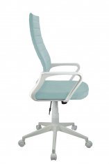  Riva Chair RCH 1165-4 PL MW  