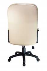  Riva Chair RCH 1168 PL  