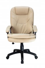  Riva Chair RCH 1168 PL  