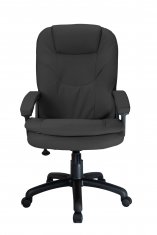  Riva Chair RCH 1168 PL  