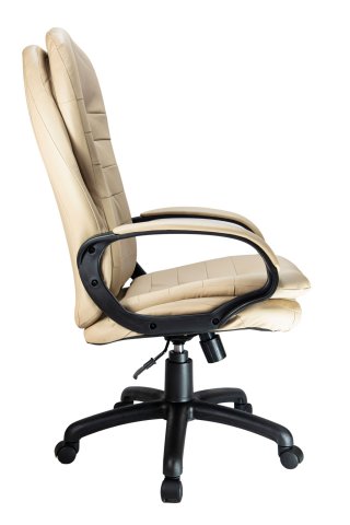  Riva Chair RCH 1195 PL  