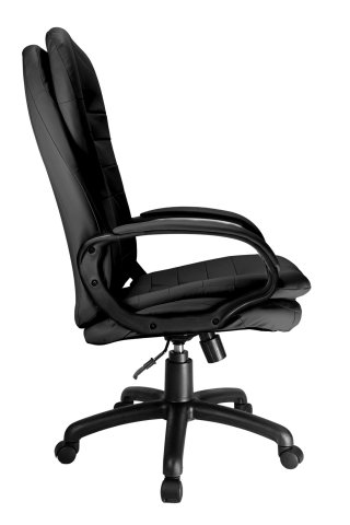  Riva Chair RCH 1195 PL  