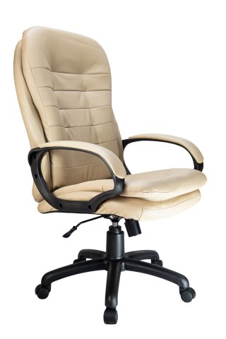  Riva Chair RCH 1195 PL  