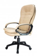  Riva Chair RCH 1195 PL  