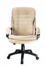  Riva Chair RCH 1195 PL  