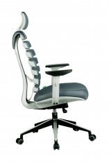  Riva Chair SHARK  / 