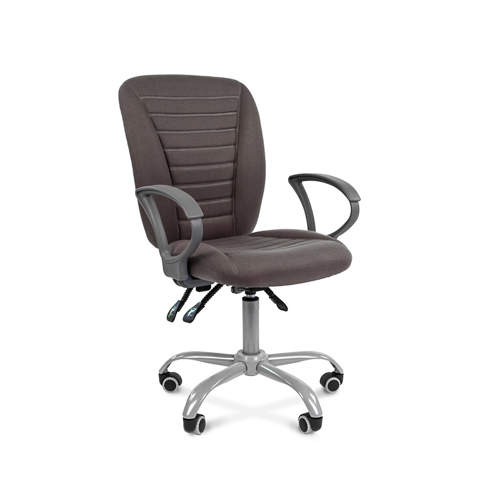 Chairman 9801 Ergo  ,  